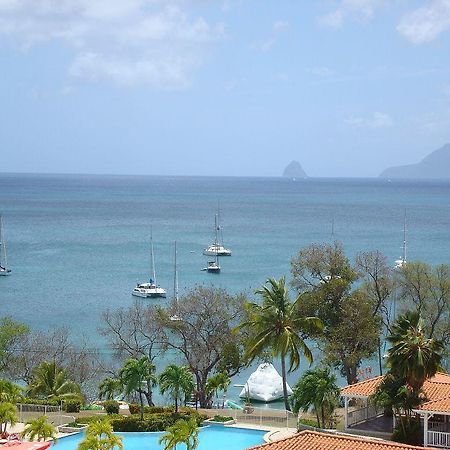 Palm'Studio Anse De Caritan Sainte-Anne Εξωτερικό φωτογραφία