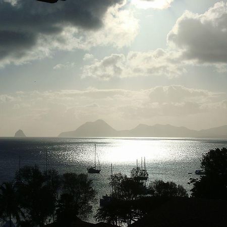 Palm'Studio Anse De Caritan Sainte-Anne Εξωτερικό φωτογραφία