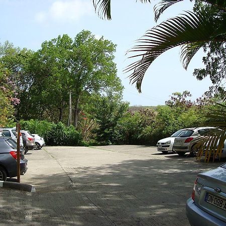 Palm'Studio Anse De Caritan Sainte-Anne Εξωτερικό φωτογραφία