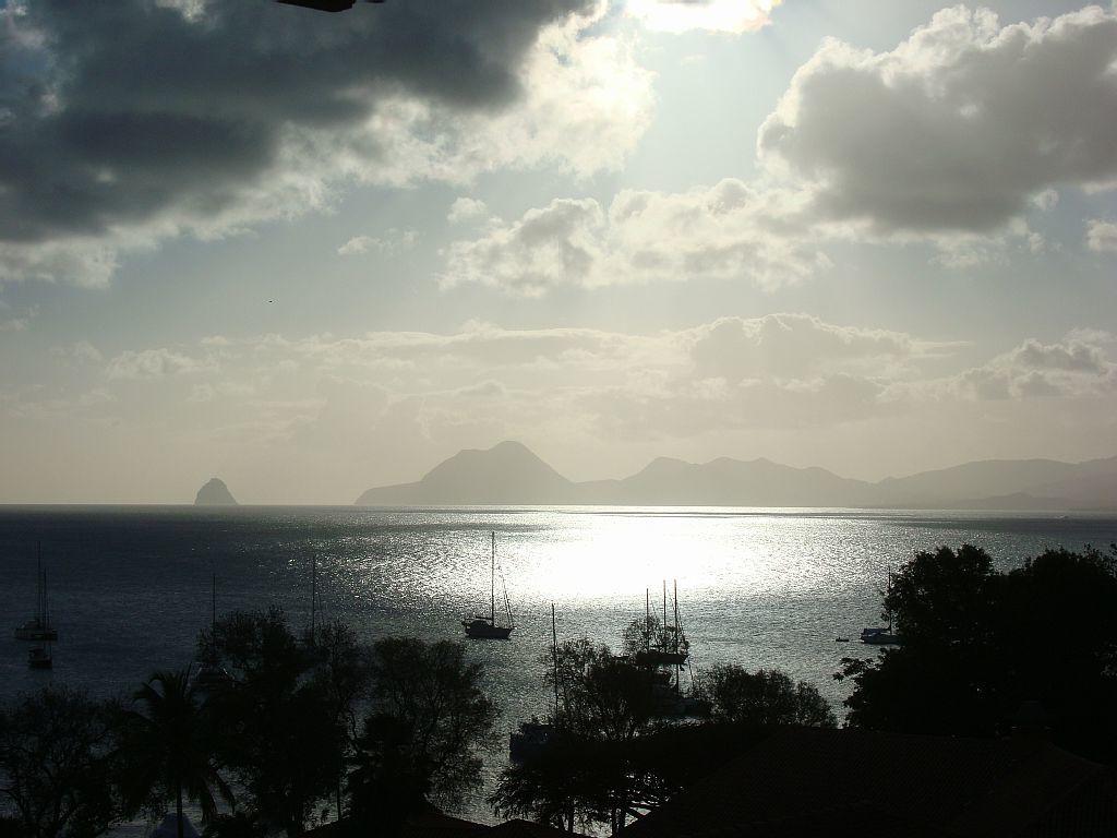 Palm'Studio Anse De Caritan Sainte-Anne Εξωτερικό φωτογραφία