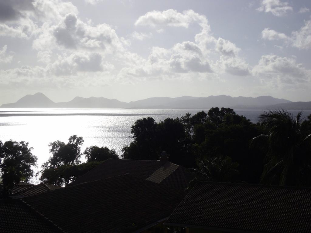 Palm'Studio Anse De Caritan Sainte-Anne Εξωτερικό φωτογραφία